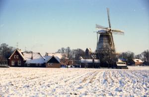 Molen de Ster in winters landschap 1985